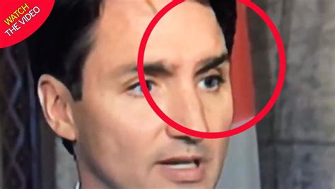 are trudeau's eyebrows fake